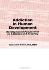 Image for Addiction in Human Development : Developmental Perspectives on Addiction and Recovery