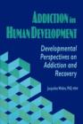 Image for Addiction in Human Development : Developmental Perspectives on Addiction and Recovery