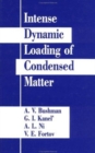 Image for Intense Dynamic Loading Of Condensed Matter
