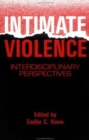 Image for Intimate Violence : Interdisciplinary Perspectives