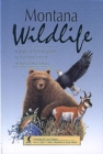 Image for Montana Wildlife : A Beginner&#39;s Field Guide to the State&#39;s Most Remarkable Animals