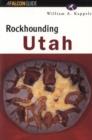 Image for Rockhounding Utah