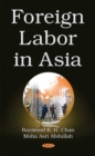 Image for Foreign labor in Asia  : issues and challenges