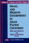 Image for Small &amp; Medium Enterprises in Asian Pacific Countries, Volume 2 : Linkages &amp; Policy Support