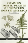 Image for Common Fossil Plants of Western North America