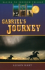 Image for Gabriel&#39;s Journey