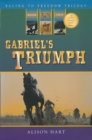 Image for Gabriel&#39;s Triumph