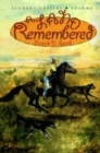 Image for A land remembered: a novel