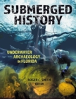 Image for Submerged History