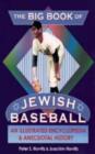Image for New big book of Jewish baseball  : an illustrated encyclopedia and anecdotal history