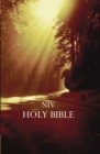 Image for NIV, Outreach Bible, Paperback, Brown