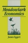 Image for Meadowlark Economies