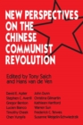 Image for New perspectives on the Chinese Communist revolution