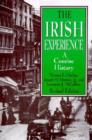 Image for The Irish Experience