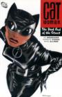 Image for Catwoman : Dark End of the Street