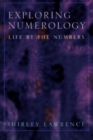 Image for Exploring Numerology
