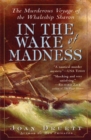 Image for In the Wake of Madness