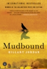 Image for Mudbound  : a novel