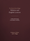 Image for The Brown-Driver-Briggs Hebrew and English lexicon  : with an appendix containing the Biblical Aramaic