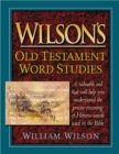 Image for Wilson&#39;s Old Testament Word Studies