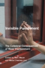 Image for Invisible punishment  : the collateral consequences of mass imprisonment
