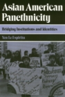 Image for Asian American Panethnicity : Bridging Institutions and Identities