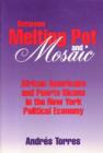 Image for Between Melting Pot and Mosaic : African American and Puerto Ricans in the New York Political Economy