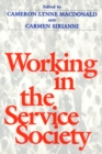Image for Working In Service Society