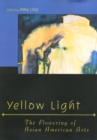 Image for Yellow Light
