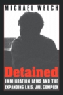Image for Detained : Immigration Laws &amp; Expanding Ins Jail Complex