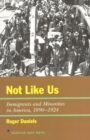 Image for Not Like Us : Immigrants and Minorities in America, 1890–1924