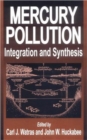 Image for Mercury Pollution Integration and Synthesis