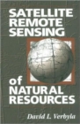 Image for Satellite remote sensing of natural resources