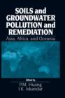 Image for Soils and Groundwater Pollution and Remediation