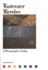 Image for Wastewater Microbes: A Photographic Catalog : A Photographic Catalog