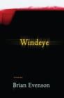 Image for Windeye: stories