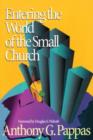 Image for Entering the World of the Small Church