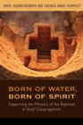 Image for Born of water, born of Spirit: supporting the ministry of the baptized in small congregations