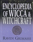 Image for Encyclopedia of wicca &amp; witchcraft