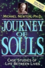 Image for Journey of souls  : case studies of life between lives