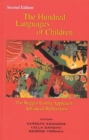 Image for The hundred languages of children  : Reggio Emilia approach - advanced reflections