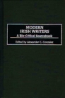 Image for Modern Irish writers: a bio-critical sourcebook