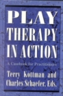 Image for Play Therapy in Action : A Casebook for Practitioners