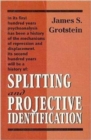 Image for Splitting and Projective Identification