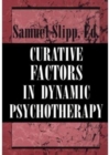 Image for Curative Factors in Dynamic Psychotherapy