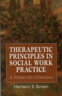 Image for Therapeutic Principles in Social Work Practice : A Primer for Clinicians