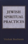 Image for Jewish Spiritual Practices