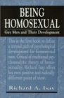Image for Being Homosexual : Gay Men and Their Development