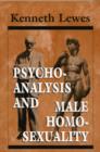 Image for Psychoanalysis and Male Homosexuality