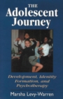Image for The Adolescent Journey